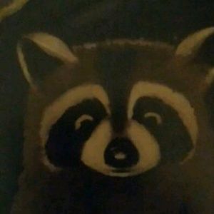 Meet your Posher, Laurie